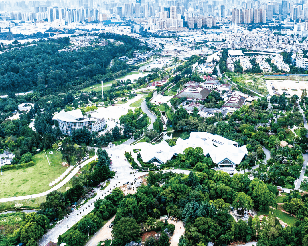 盘龙区文旅融合绘就森系新画卷 大世博片区发出文旅新名片